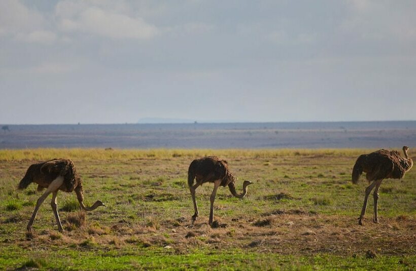Отель H12 Elephant Gorge Camp
