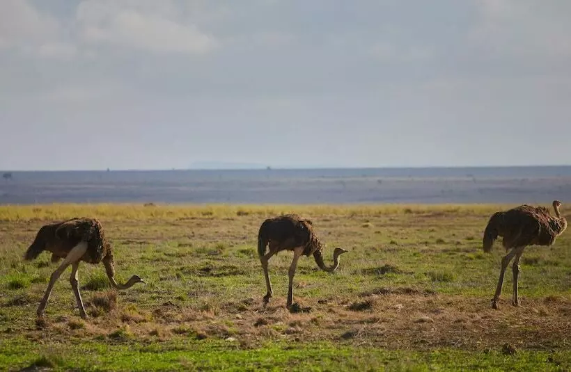 ホテル H12 Elephant Gorge Camp