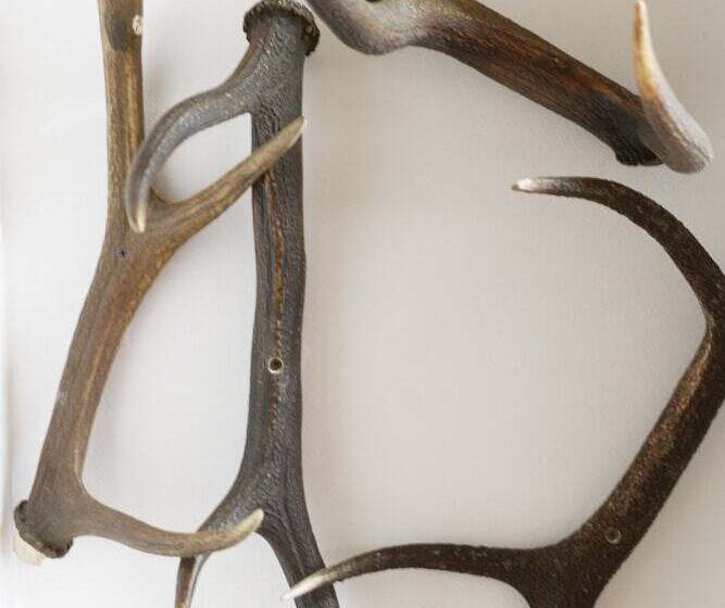 酒店 Restaurant Rodizio Paderborn