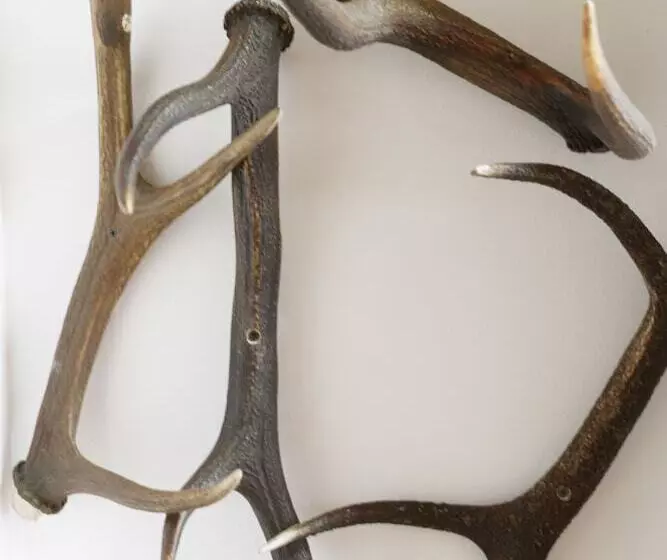 Hotelli Restaurant Rodizio Paderborn