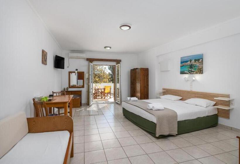 بنسيون Olive Studios