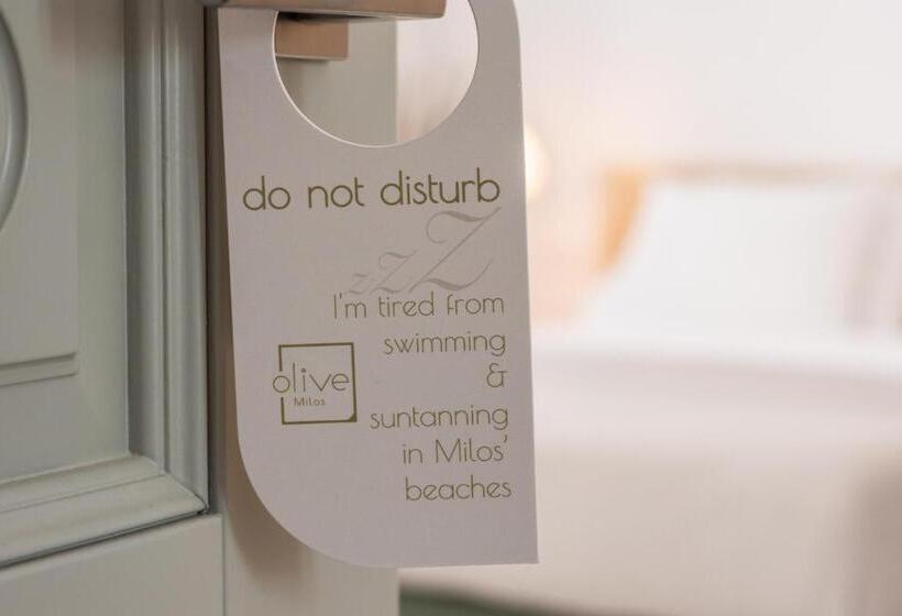 بنسيون Olive Studios