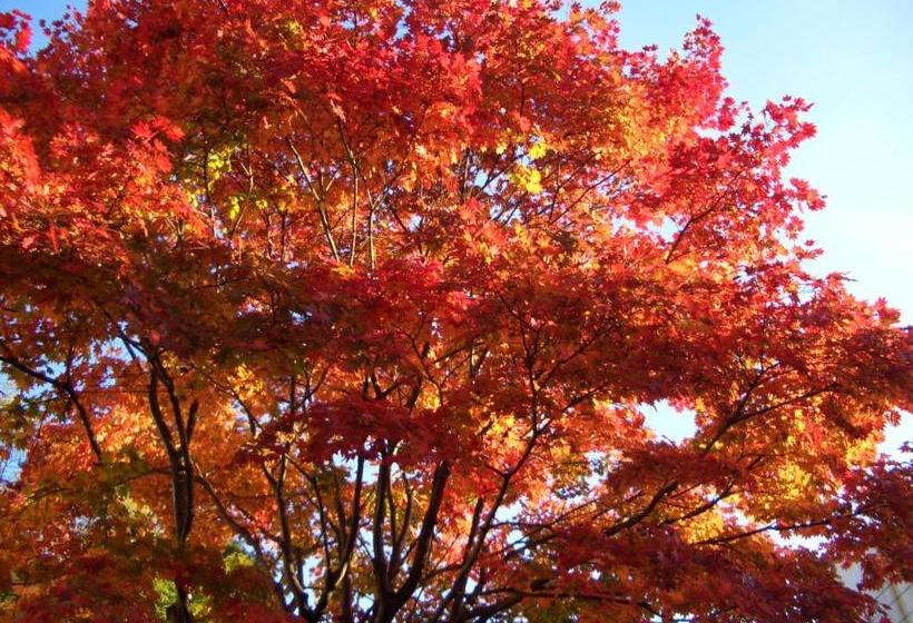 ריוקאן Japanesestyle Pension Hoshikawa