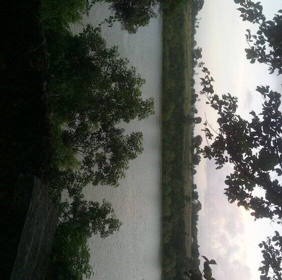 هاستل Buddha S Tree Backpackers Adults Only