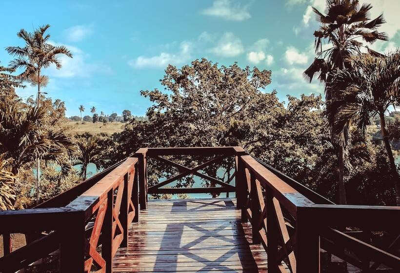 هاستل Buddha S Tree Backpackers Adults Only