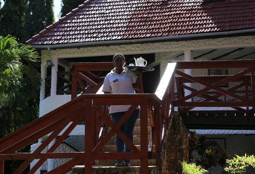 هاستل Buddha S Tree Backpackers Adults Only