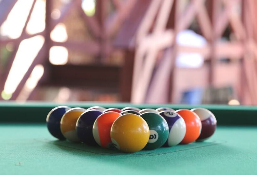 هاستل Buddha S Tree Backpackers Adults Only