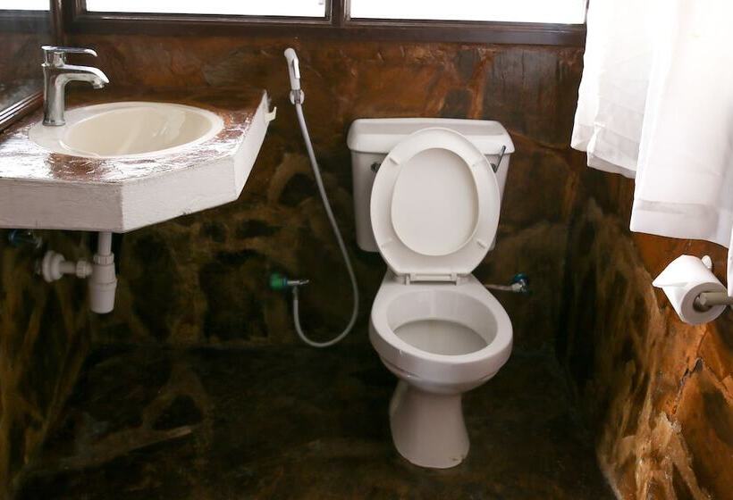 هاستل Buddha S Tree Backpackers Adults Only