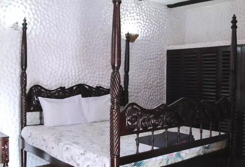 هاستل Buddha S Tree Backpackers   Adults Only