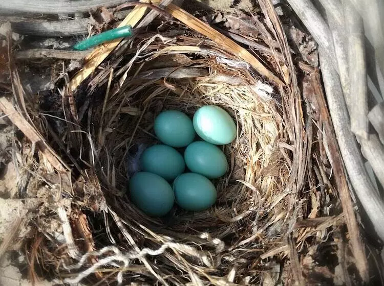 Aamiaismajoitus (B&B) Cascina Luvot