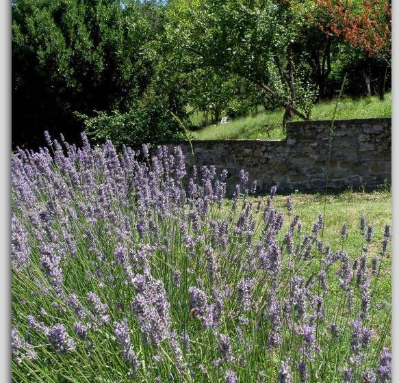 مبيت وإفطار Cascina Luvot