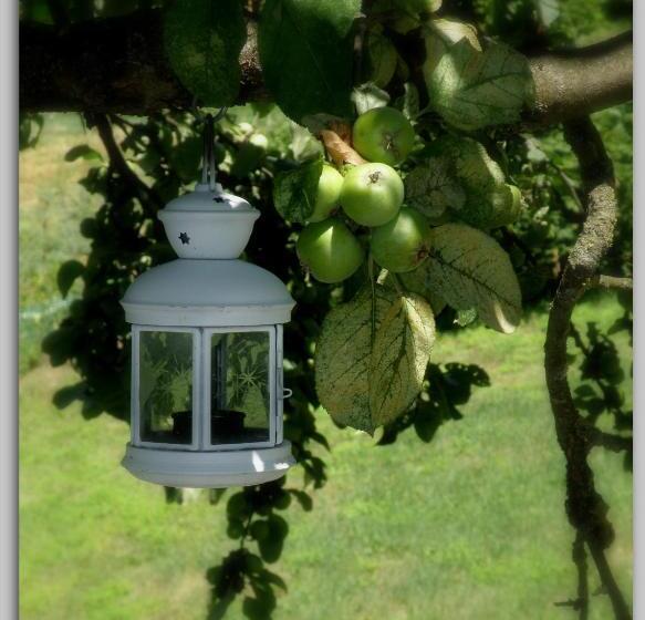 مبيت وإفطار Cascina Luvot