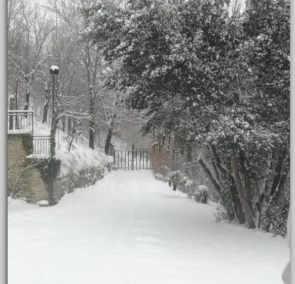 مبيت وإفطار Cascina Luvot