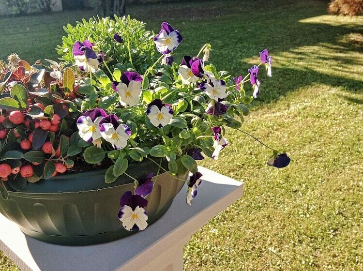 مبيت وإفطار Relais Toti Beb Bed E Breakfast