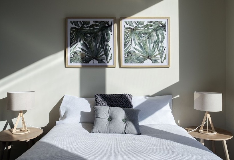 Dreamhost Apartments At Collins