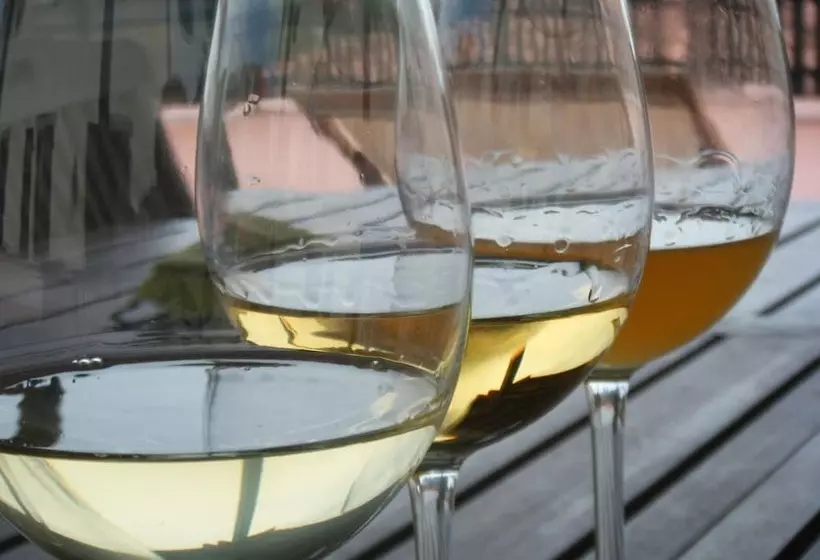 هتل روستایی Agriturismo Grillo Iole Winery