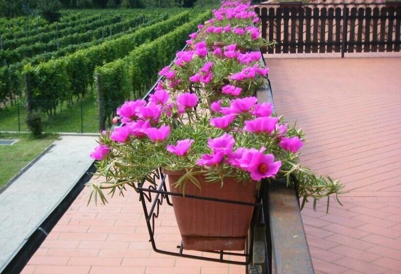 هتل روستایی Agriturismo Grillo Iole Winery