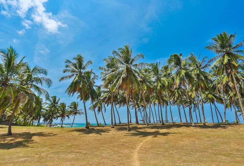 Ocean Cottage Kalametiya