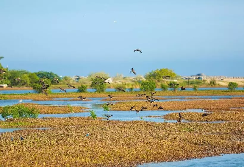 Ocean Cottage Kalametiya