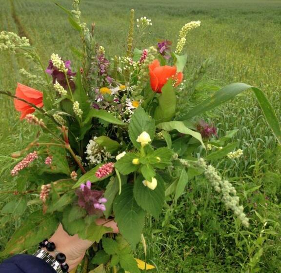 פנסיון Bremsmaj Farm Holiday