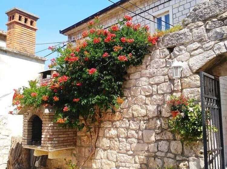 پانسیون Guest House Exalto