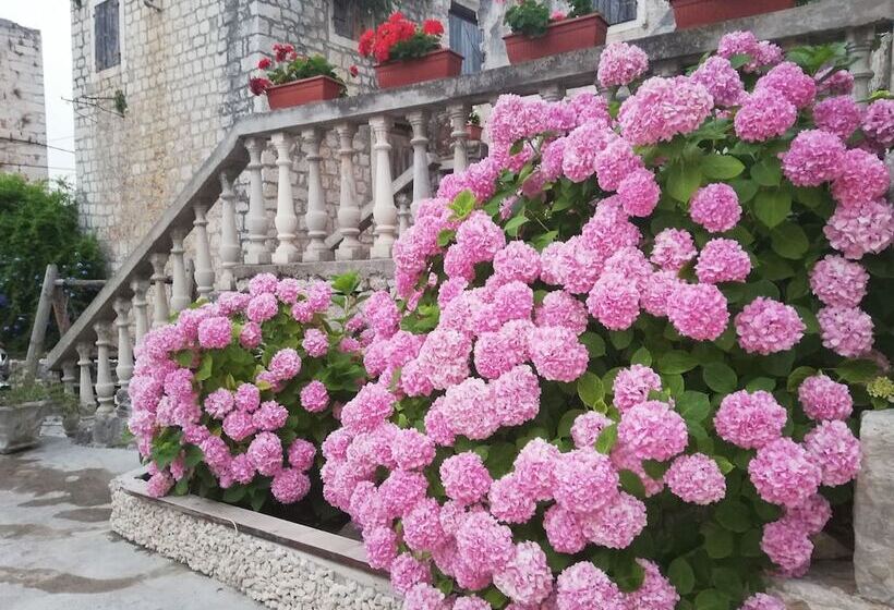 پانسیون Guest House Exalto