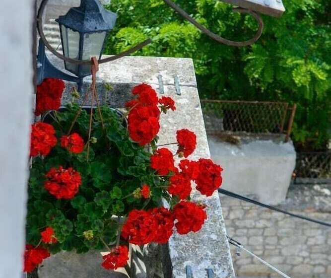 پانسیون Guest House Exalto