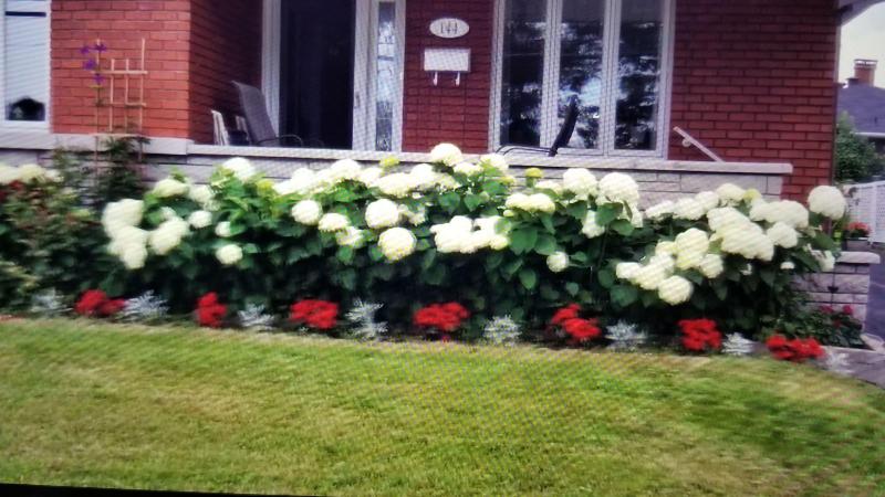 مبيت وإفطار Gite Du Passant Rosedort