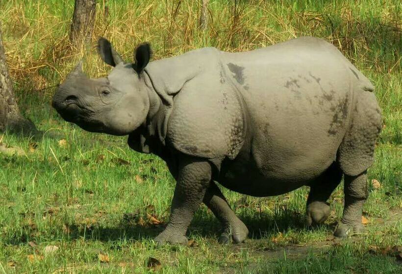 Hidden World Resort And Spa