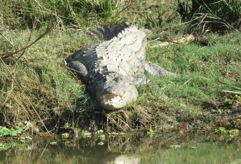 Hidden World Resort And Spa