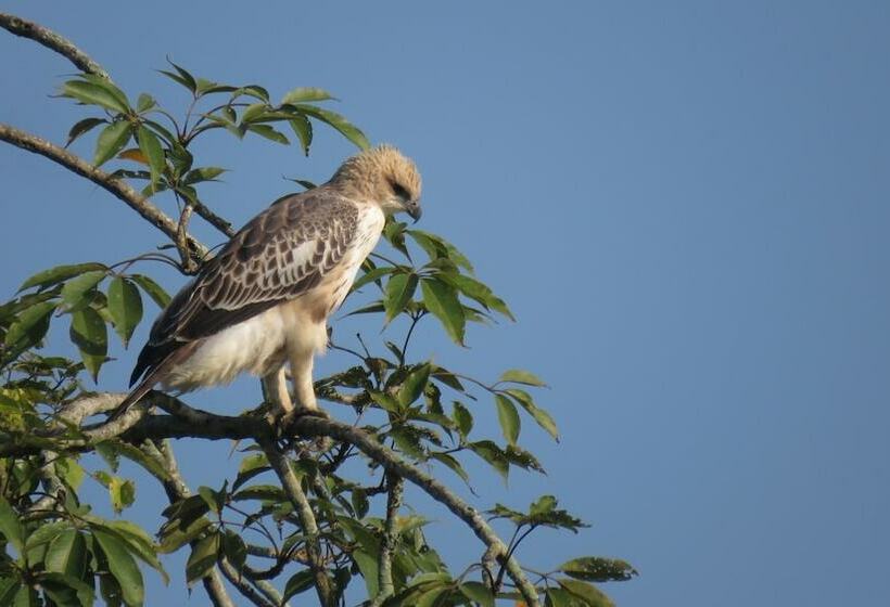 Hidden World Resort And Spa