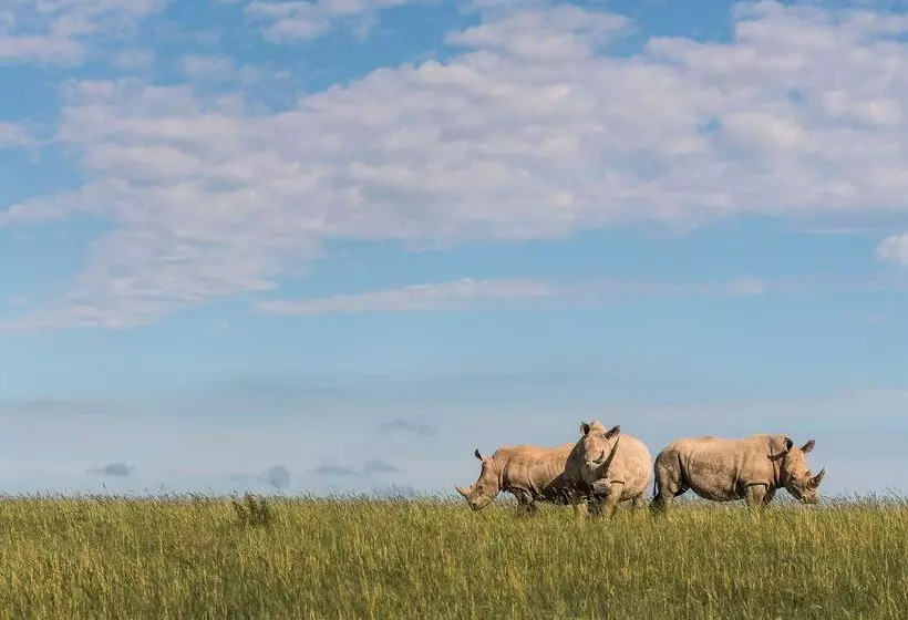 هتل Shamwari Sarili