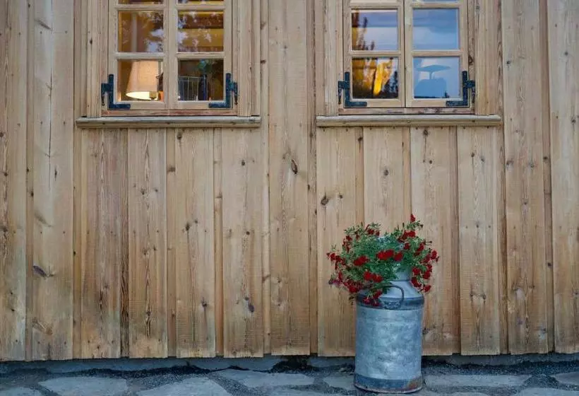 íslandsbærinn /old Farm