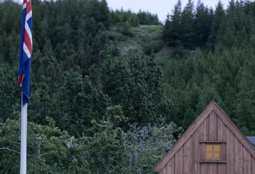 íslandsbærinn /old Farm