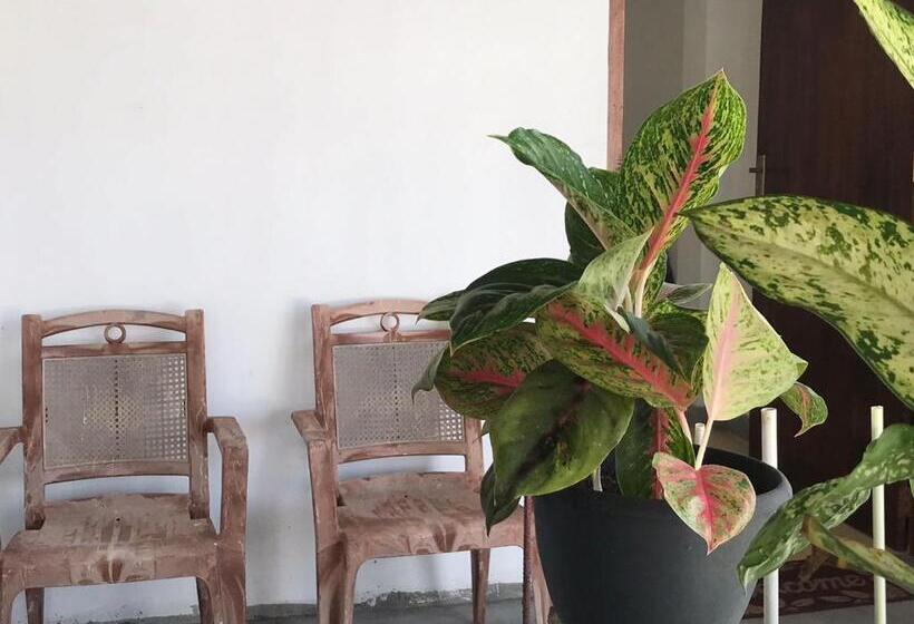 ペンション Anna Tourist Inn