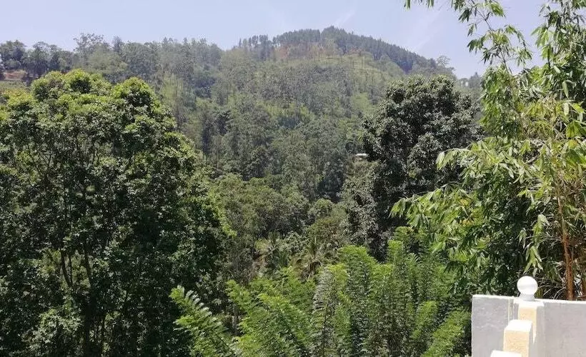 ペンション Ella Aura View Homestay