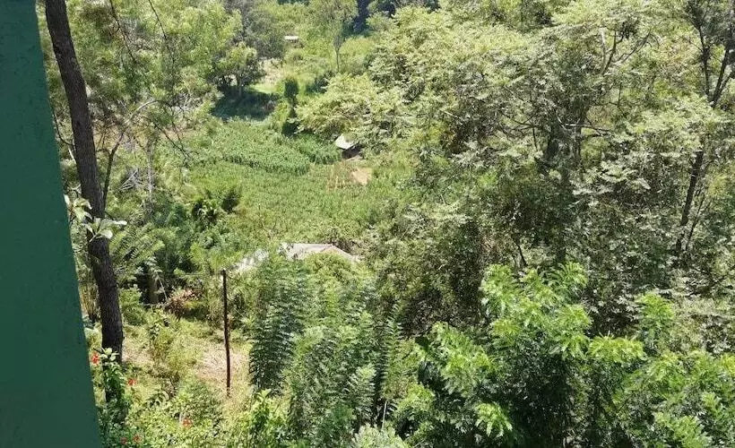 ペンション Ella Aura View Homestay