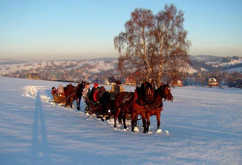 פנסיון Willa U Renaty - Widok Na Giewont