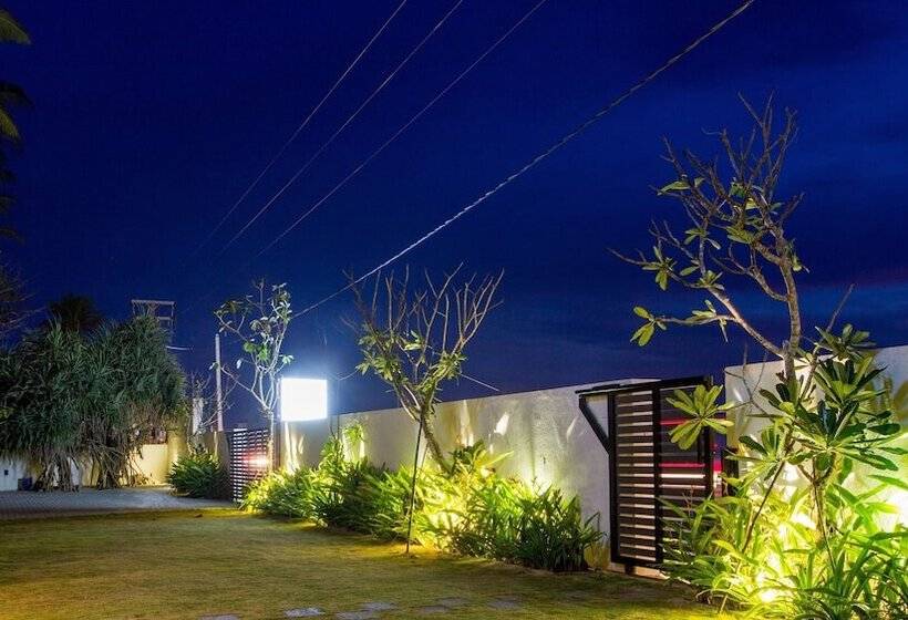 호스텔 Lazy Koala