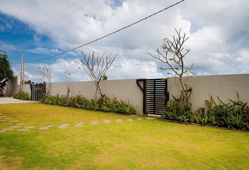 호스텔 Lazy Koala