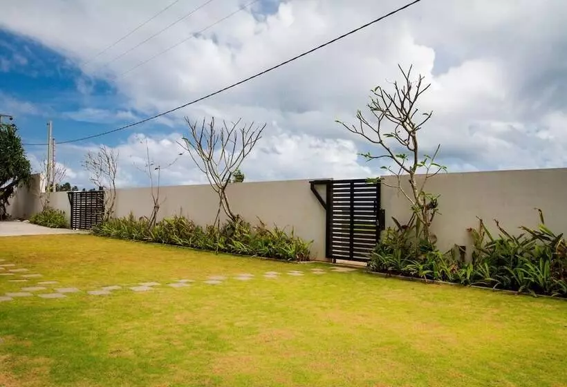 ユースホステル Lazy Koala