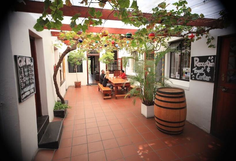 הוסטל Zebra Crossing Backpacker