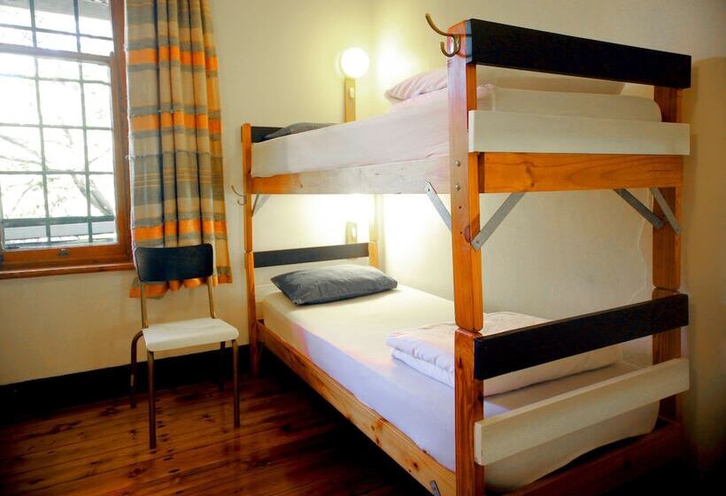 הוסטל Zebra Crossing Backpacker