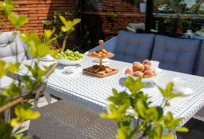 هتل Terrace Kutaisi