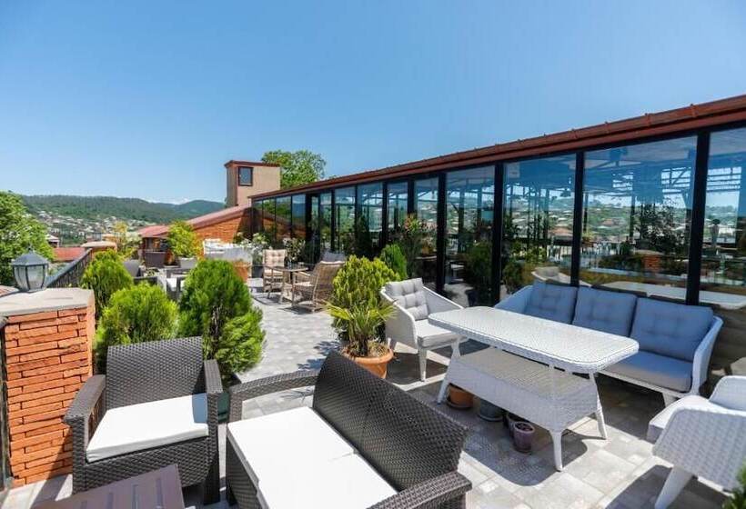 هتل Terrace Kutaisi