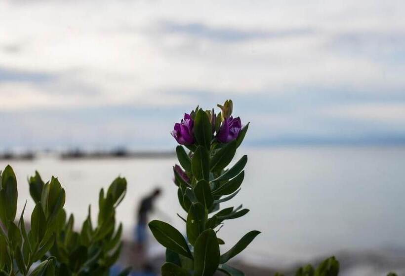 בית מלון כפרי Xenios