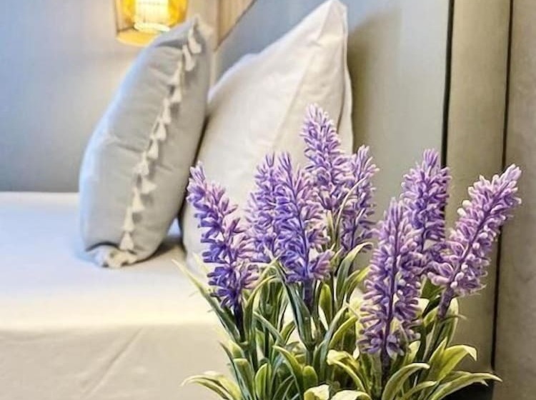 בית מלון כפרי Xenios