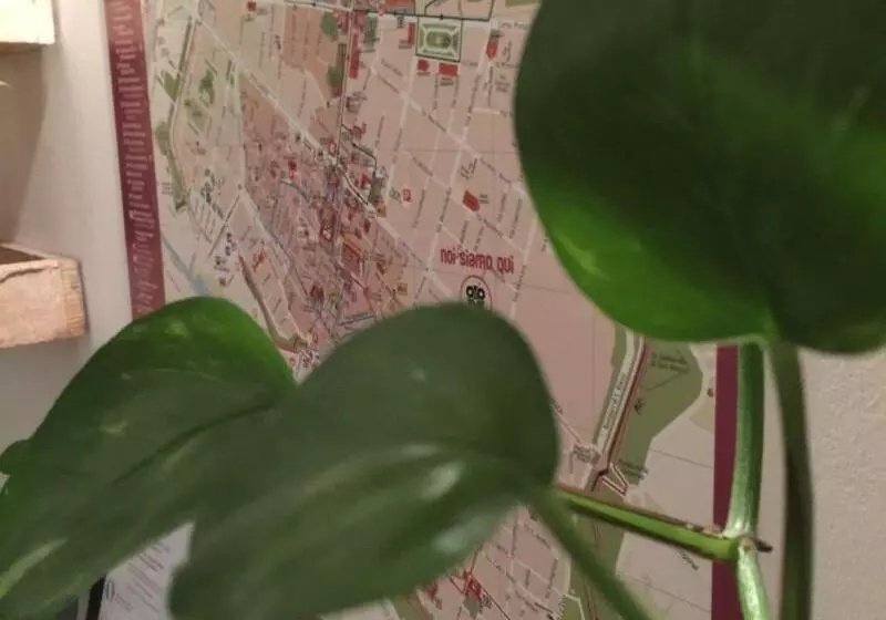 Low Cost Ferrara