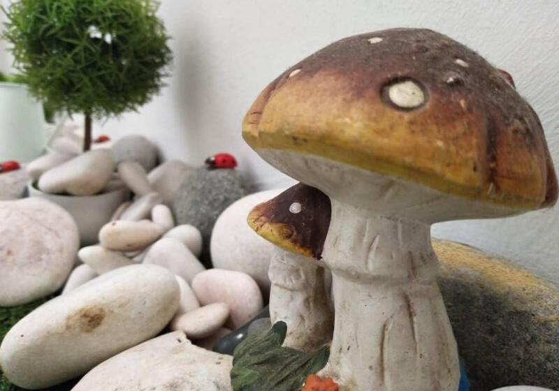 Mari Jari Spastay   Hostel