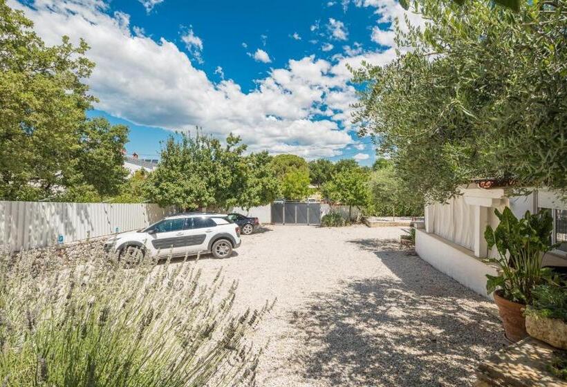 פנסיון Martina Guest House